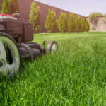 lawn mowing berwick